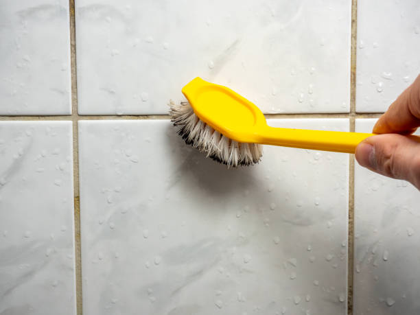 Best Mold Removal Company Near Me  in Russellville, AR