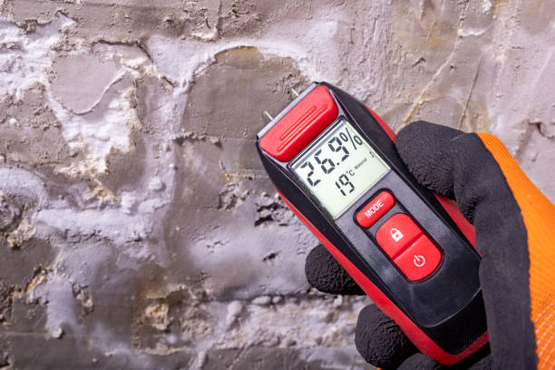 Best Mold Testing  in Russellville, AR
