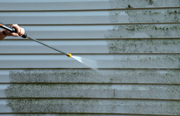 Best Local Mold Removal Service  in Russellville, AR