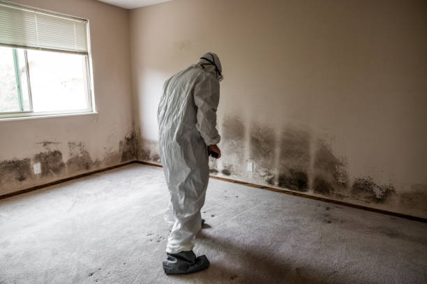 Crawl Space Mold Removal in Russellville, AR